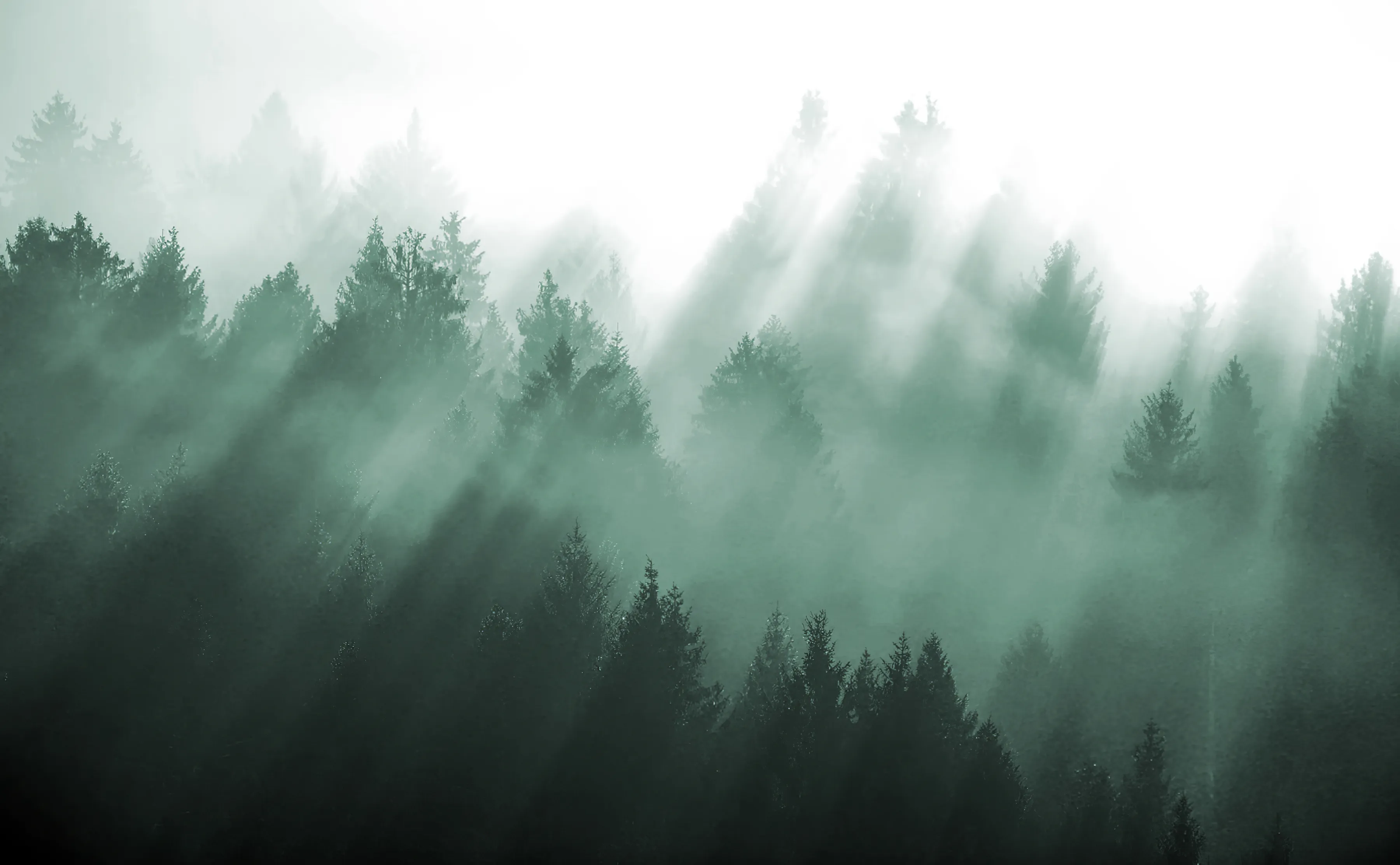 Banner image of the blog